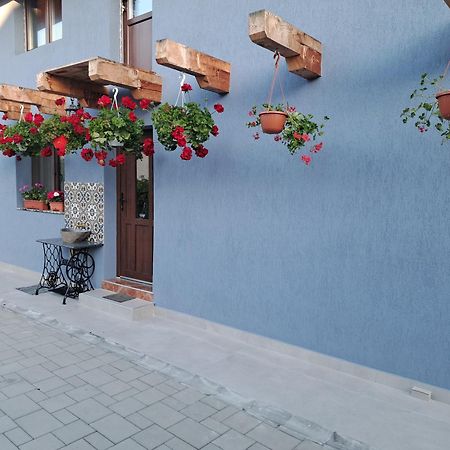 Casa Rustica Saceleana Villa Buitenkant foto