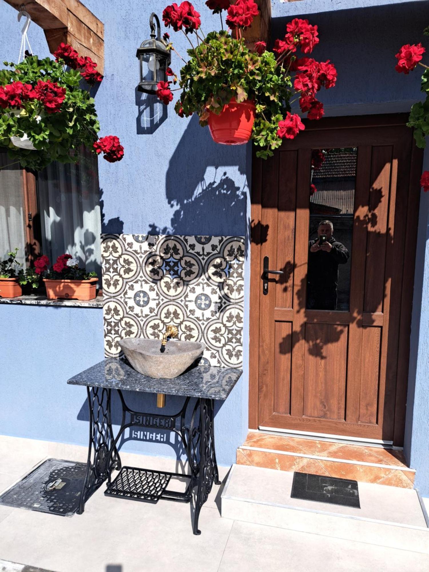Casa Rustica Saceleana Villa Buitenkant foto