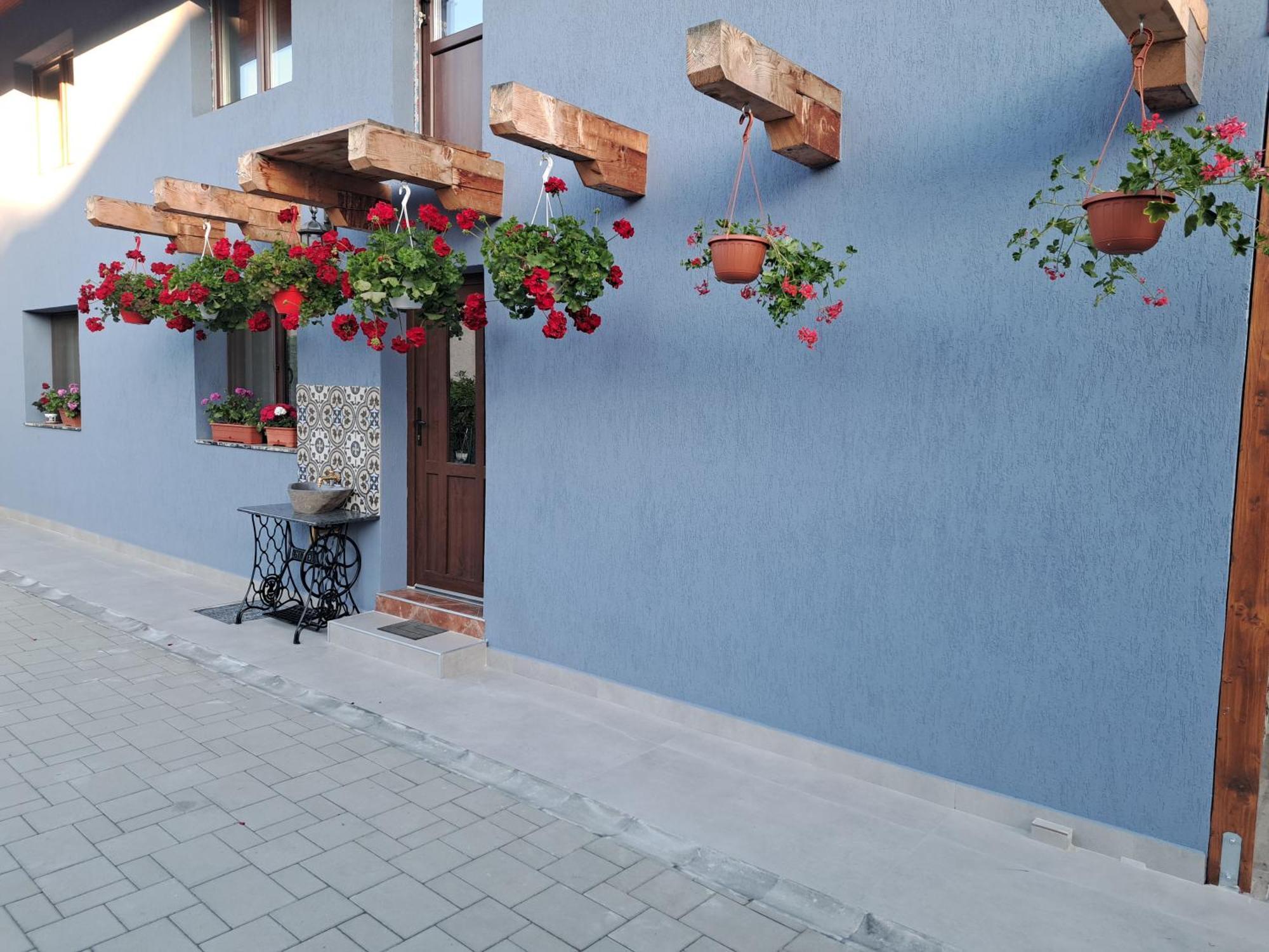 Casa Rustica Saceleana Villa Buitenkant foto